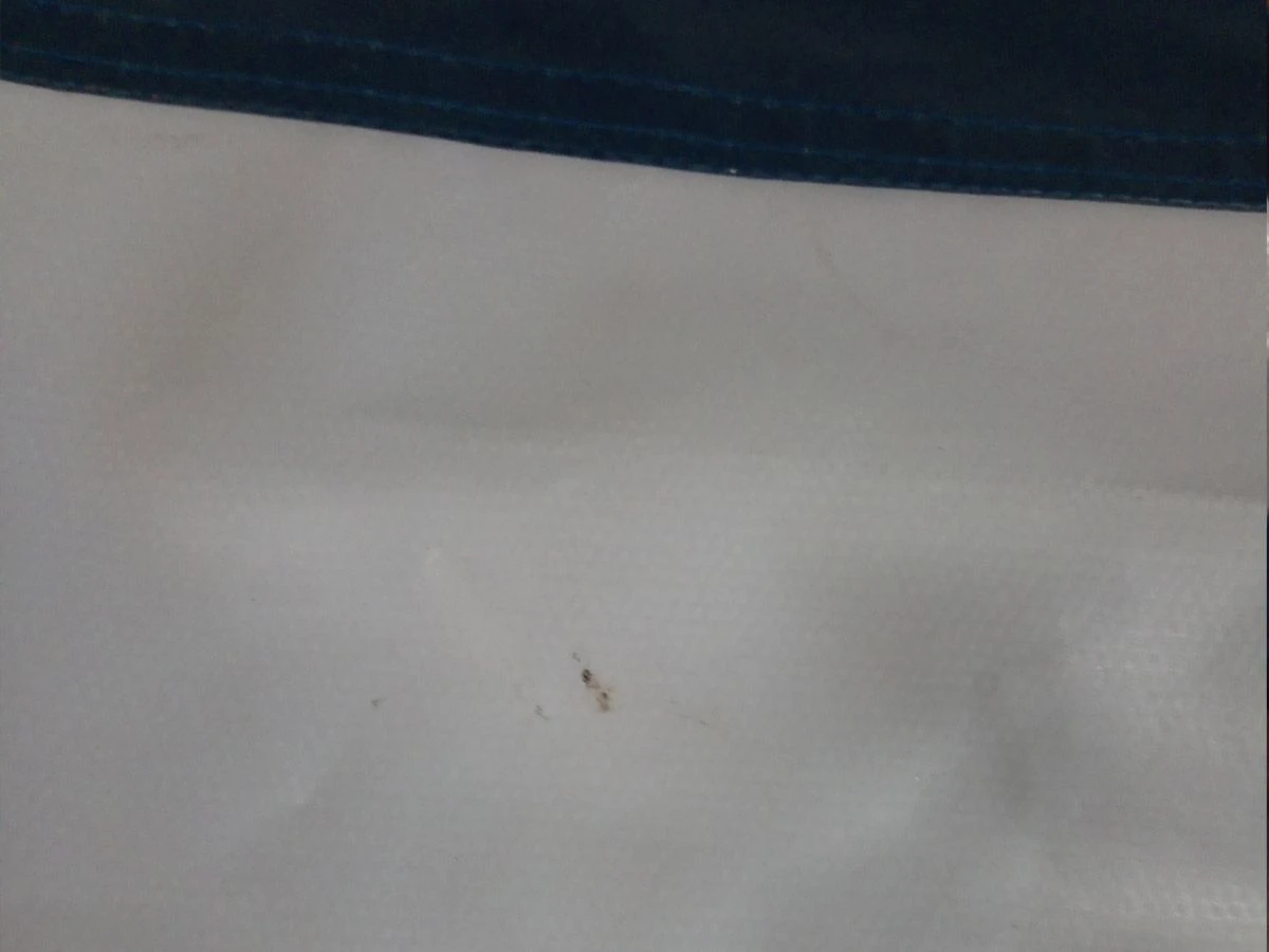 Zweite Chance Obelink Prestige PVC 6 Zweite Chance Obelink Prestige PVC – Bild 4